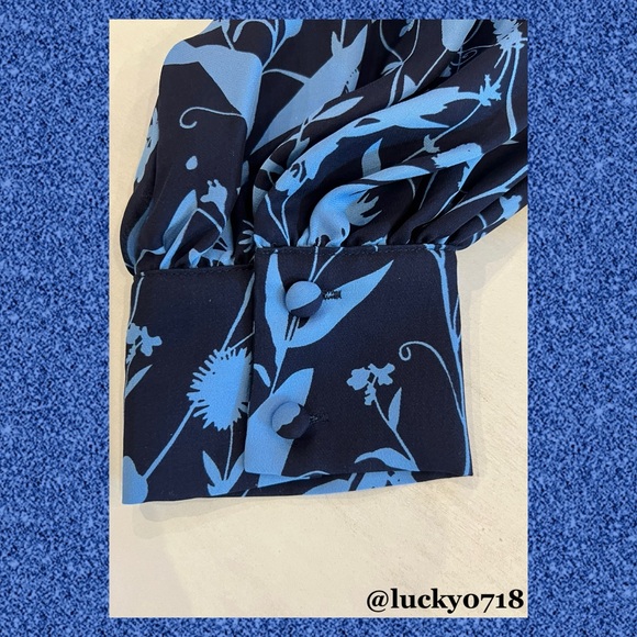 Parker EUC Blue on Navy Kata Long Sleeve Silk Blouse Sz S - Picture 5 of 9